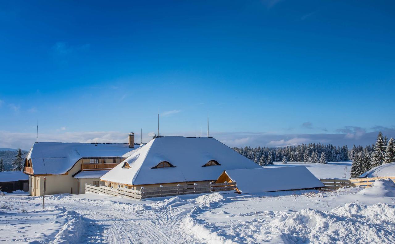 Ea Horsky Hotel Hajenka Modrava Exteriör bild