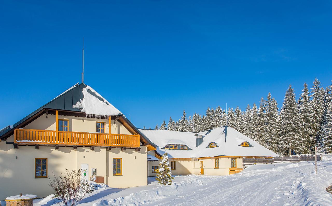 Ea Horsky Hotel Hajenka Modrava Exteriör bild
