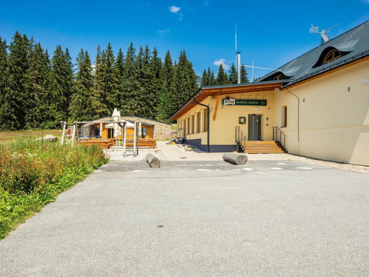 Ea Horsky Hotel Hajenka Modrava Exteriör bild